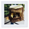 3dRose Sandy Mertens Animals - Sugar Glider Peaking Out of Hanging Bed in Mosaic - Quilt Squares (qs_107051)
