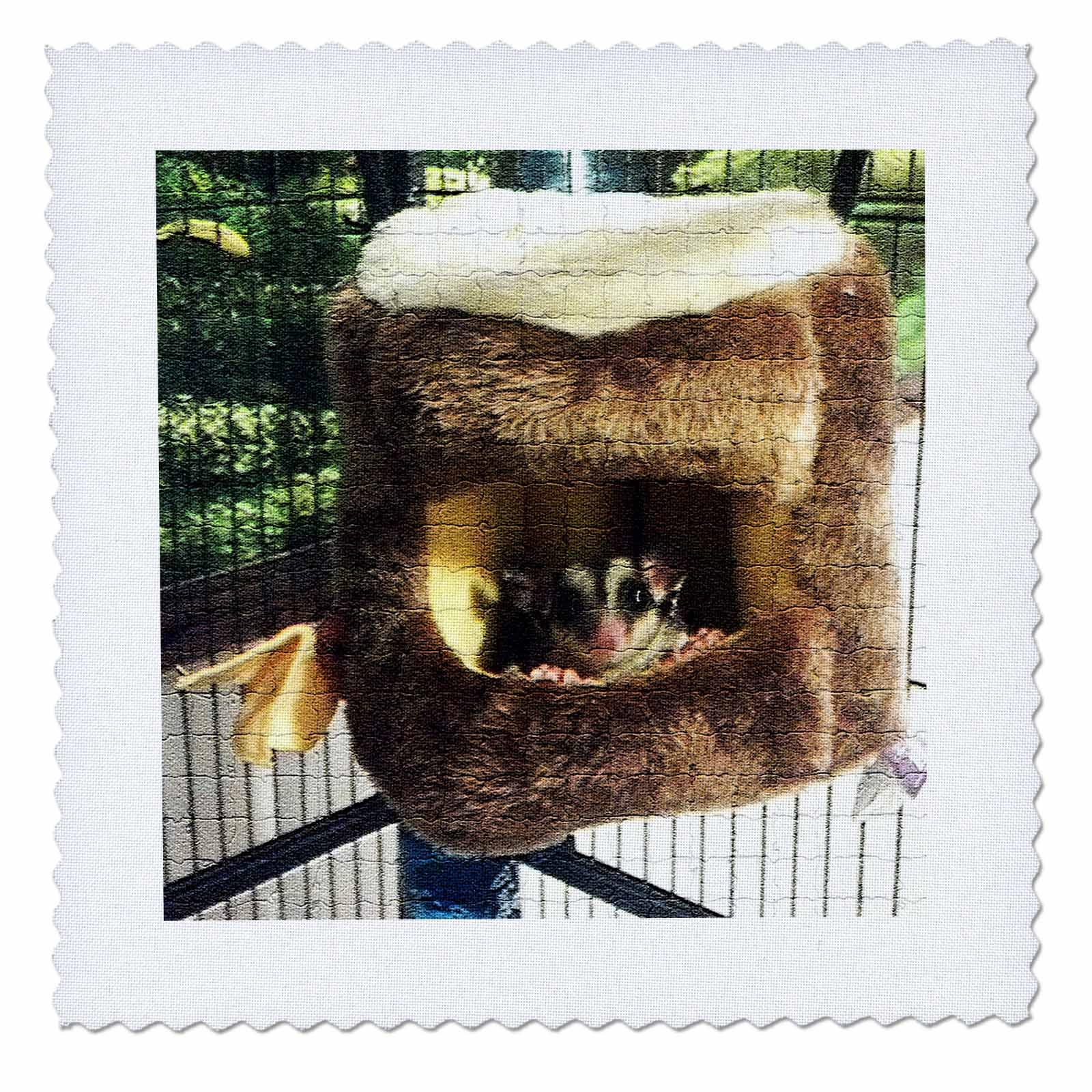 3dRose Sandy Mertens Animals - Sugar Glider Peaking Out of Hanging Bed in Mosaic - Quilt Squares (qs_107051)