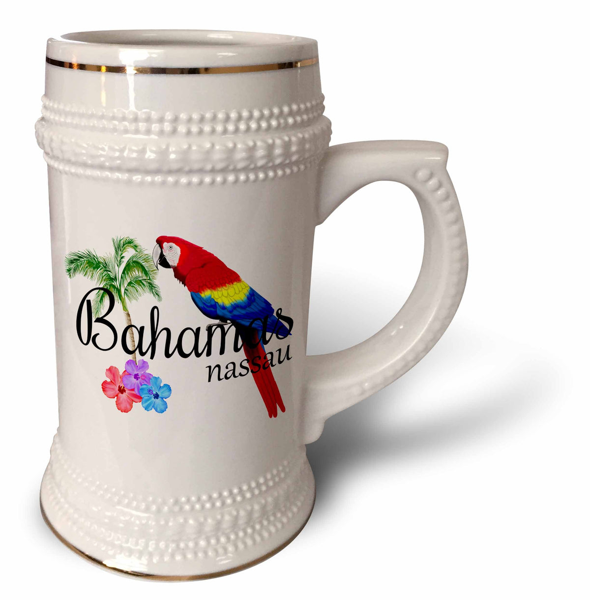3dRose Bahamas Nassau Caribbean souvenir with tropical parrot and... - 22oz Stein Mug (stn_299249)