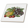 3dRose Dooni Designs Vintage Designs - Vintage Victorian Fruit Illustration Blueberries Pear and Strawberries - Tiles (ct_104685)