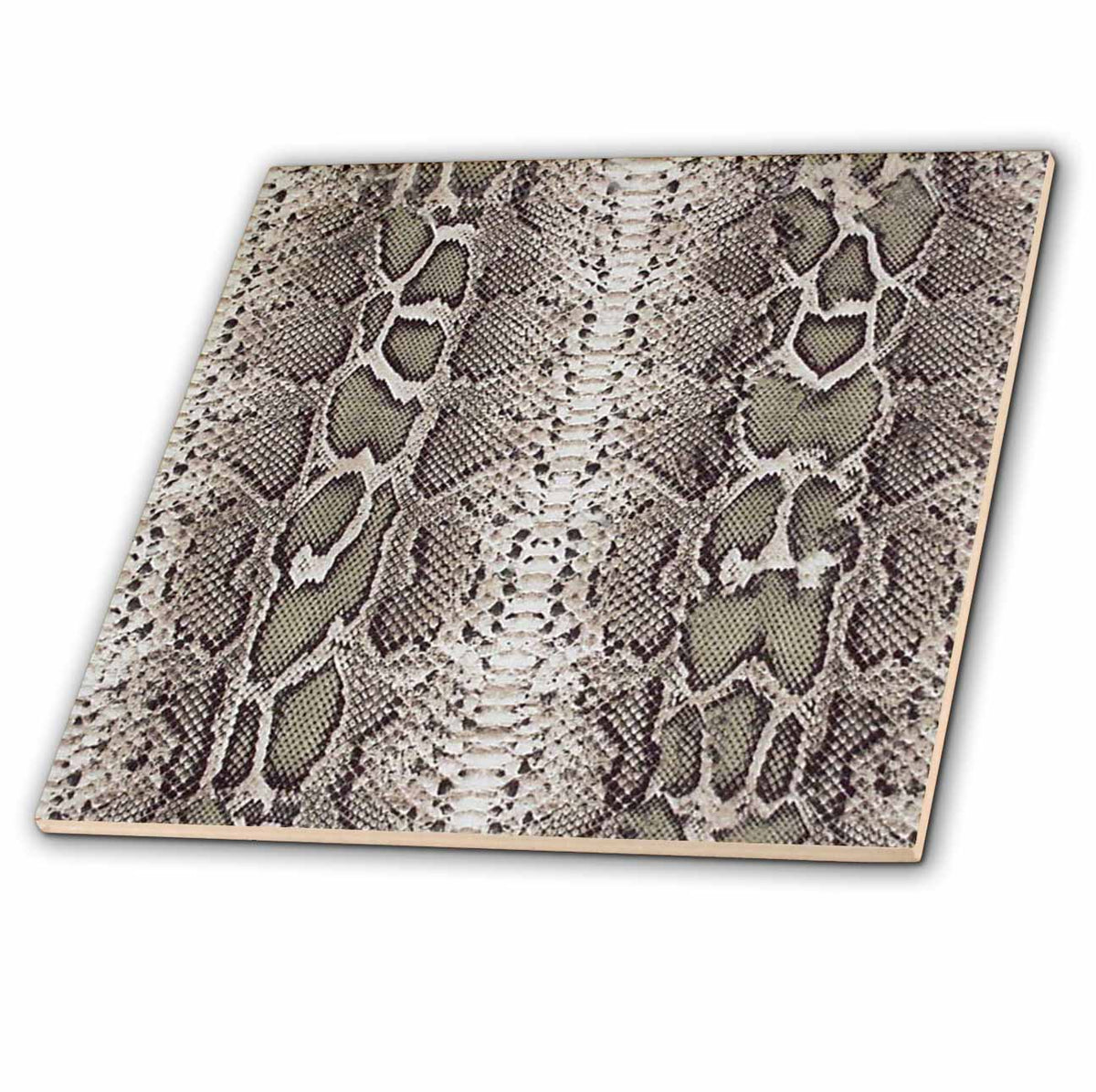 3dRose Janna Salak Designs Prints and Patterns - Grey Snakeskin Animal Print - Tiles (ct_20347)