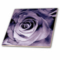 3dRose JaclinArt Garden Nature Florals Flowers Roses Bouquet Wedding - Lavender Purple Rose - Tiles (ct_27565)