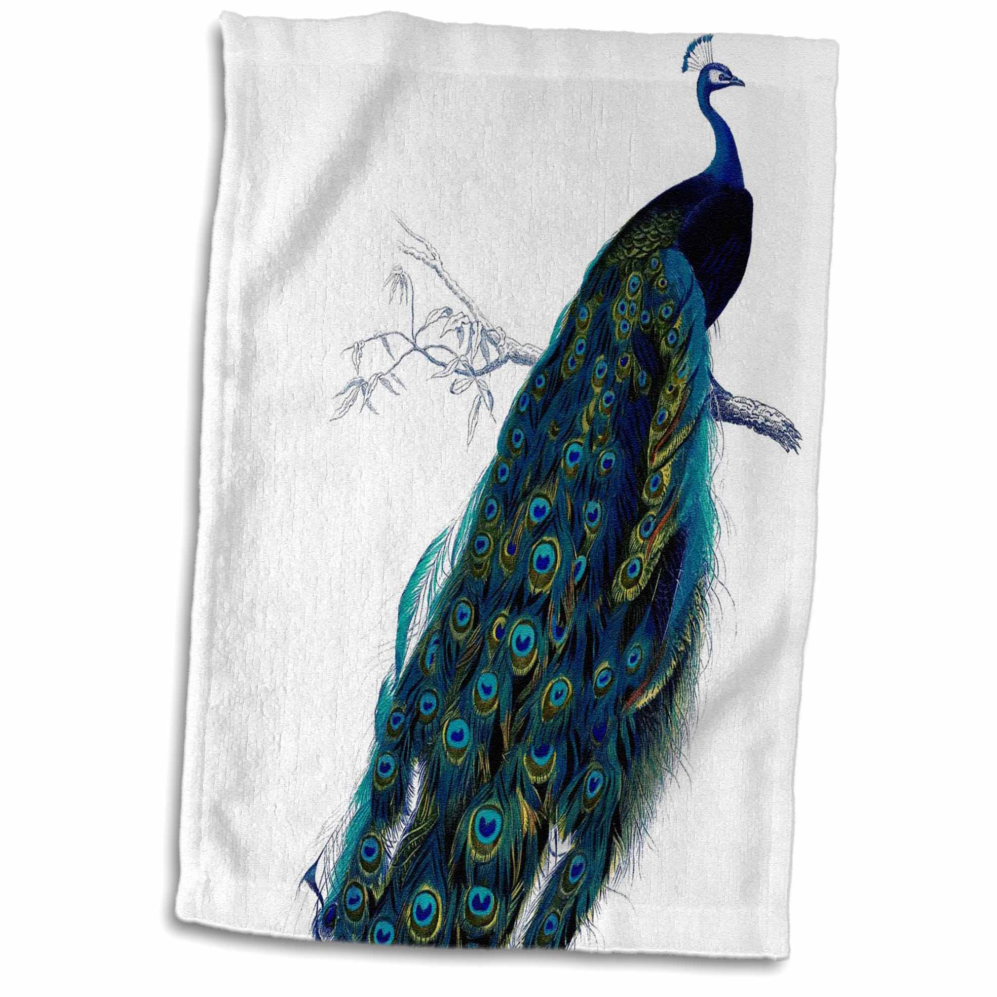 3dRose PS Vintage - Beautiful Vintage Peacock - Towels (twl-108585)