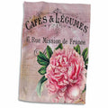 3dRose PS Vintage - French Vintage Pink Peony Botanical - Towels (twl-123376)