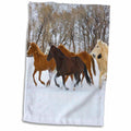 3dRose USA, Wyoming, Shell, Horses Running in Snow - US51 TEG0015 - Terry... - Towels (twl-149050)