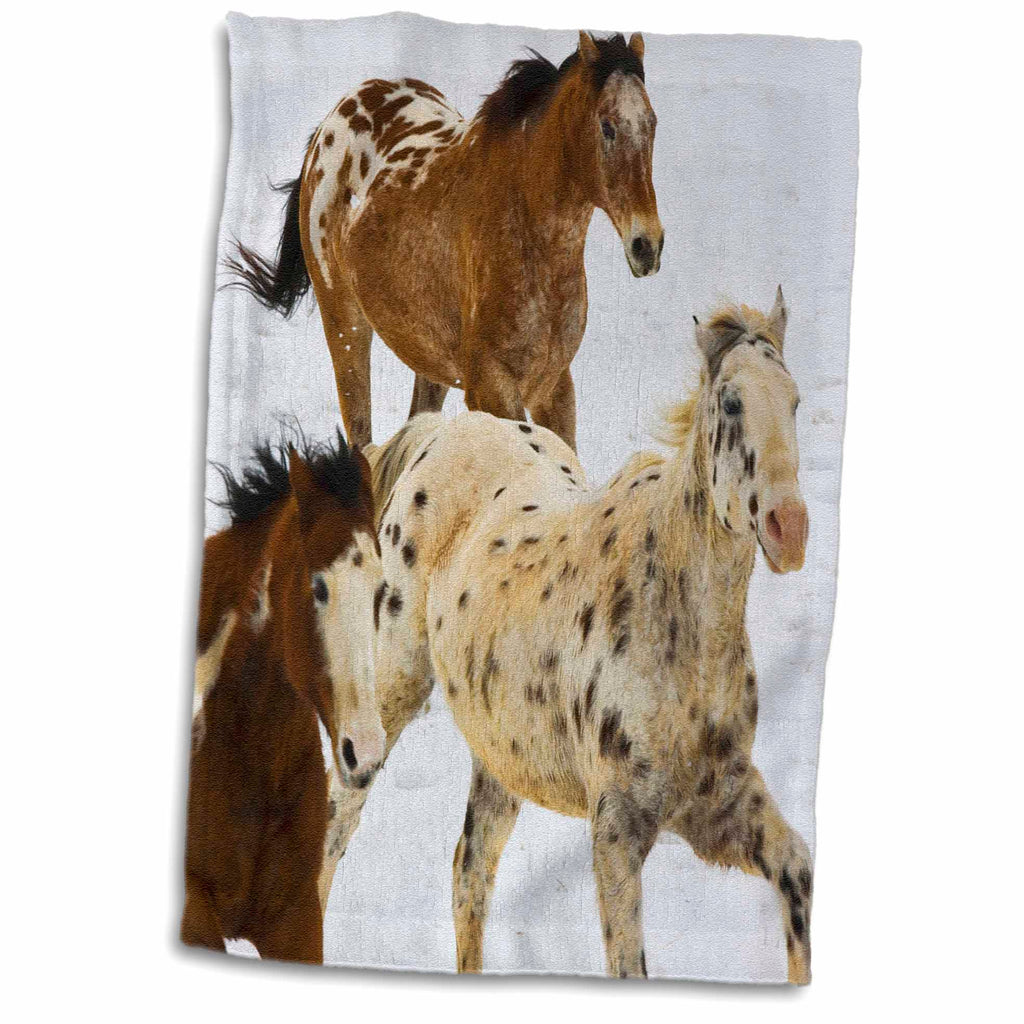 3dRose USA, Wyoming, Shell, Big Horn Mountains, Horses - US51 TEG0039 - Terry... - Towels (twl-149067)