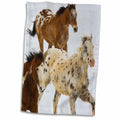 3dRose USA, Wyoming, Shell, Big Horn Mountains, Horses - US51 TEG0039 - Terry... - Towels (twl-149067)