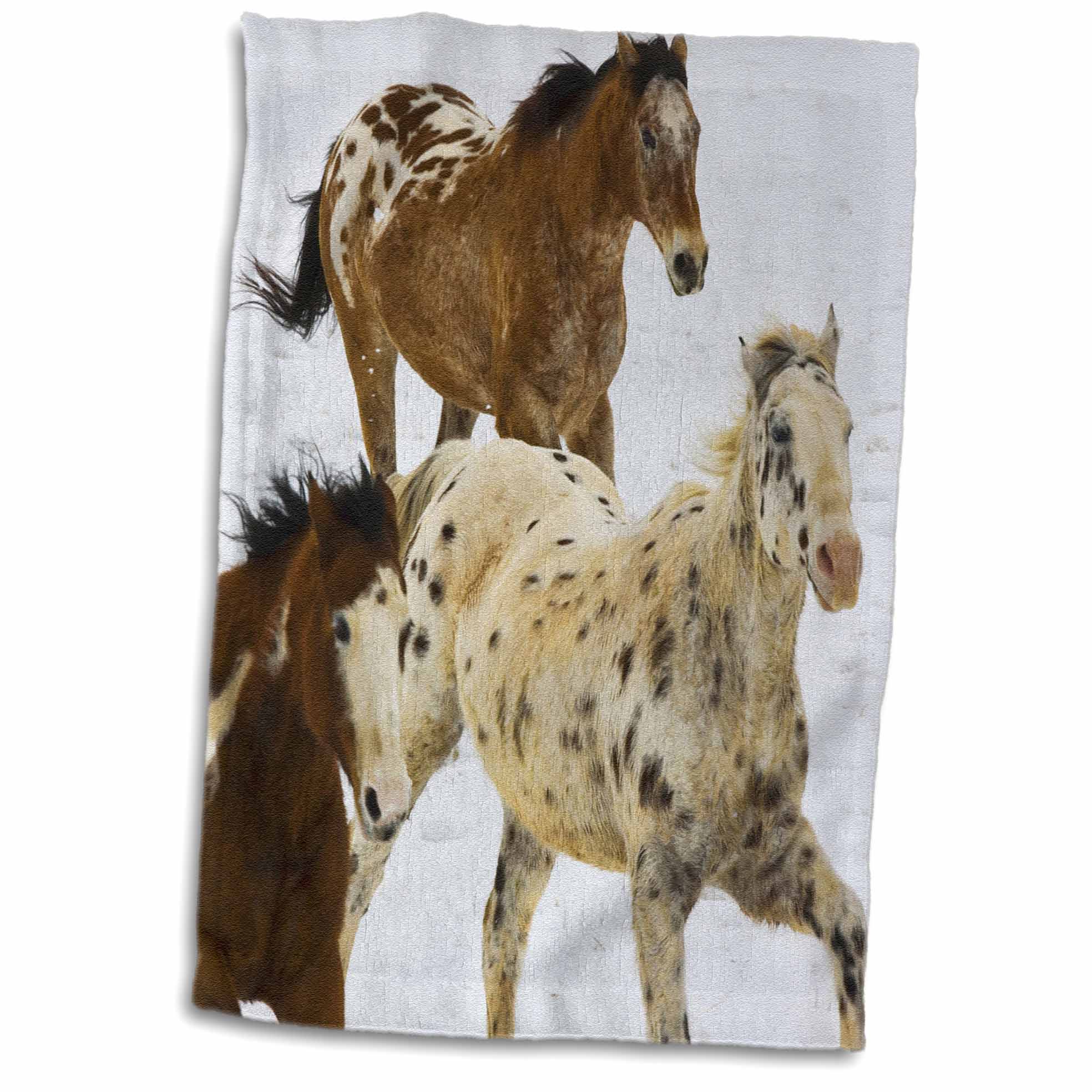 3dRose USA, Wyoming, Shell, Big Horn Mountains, Horses - US51 TEG0039 - Terry... - Towels (twl-149067)