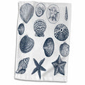 3dRose PS Beach - Blue Sea Shells Nautical beach theme ocean art - Towels (twl-155830)