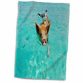 3dRose Print of Swimming Pig in Staniel Cay Bahamas