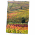 3dRose Italy, Tuscany. Colorful Vineyards and Olive Trees in Autumn - Towels (twl-227572)