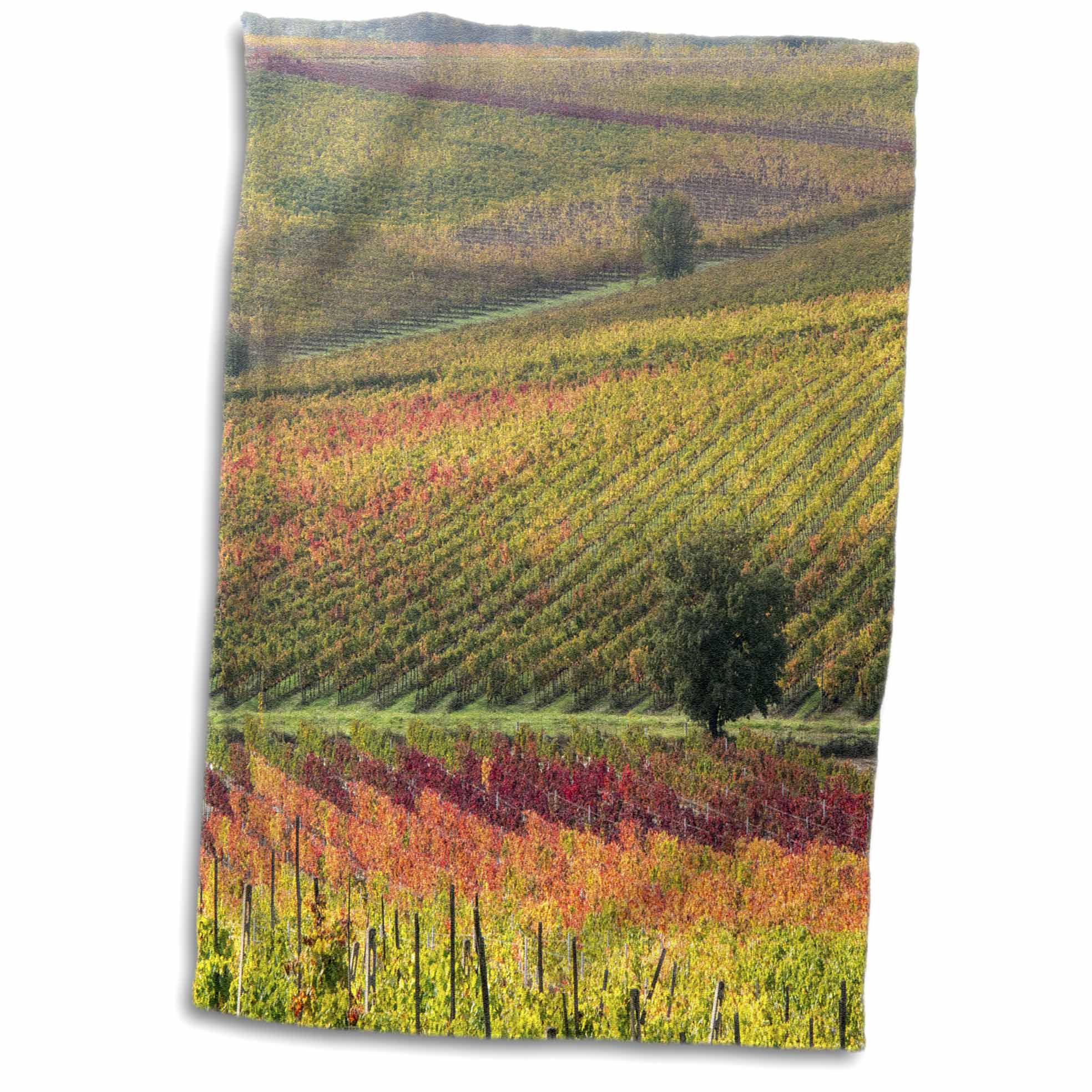 3dRose Italy, Tuscany. Colorful Vineyards and Olive Trees in Autumn - Towels (twl-227572)
