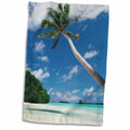 3dRose Danita Delimont - Beaches - Palau, Palm trees along tropical beach - Towels (twl-228587)