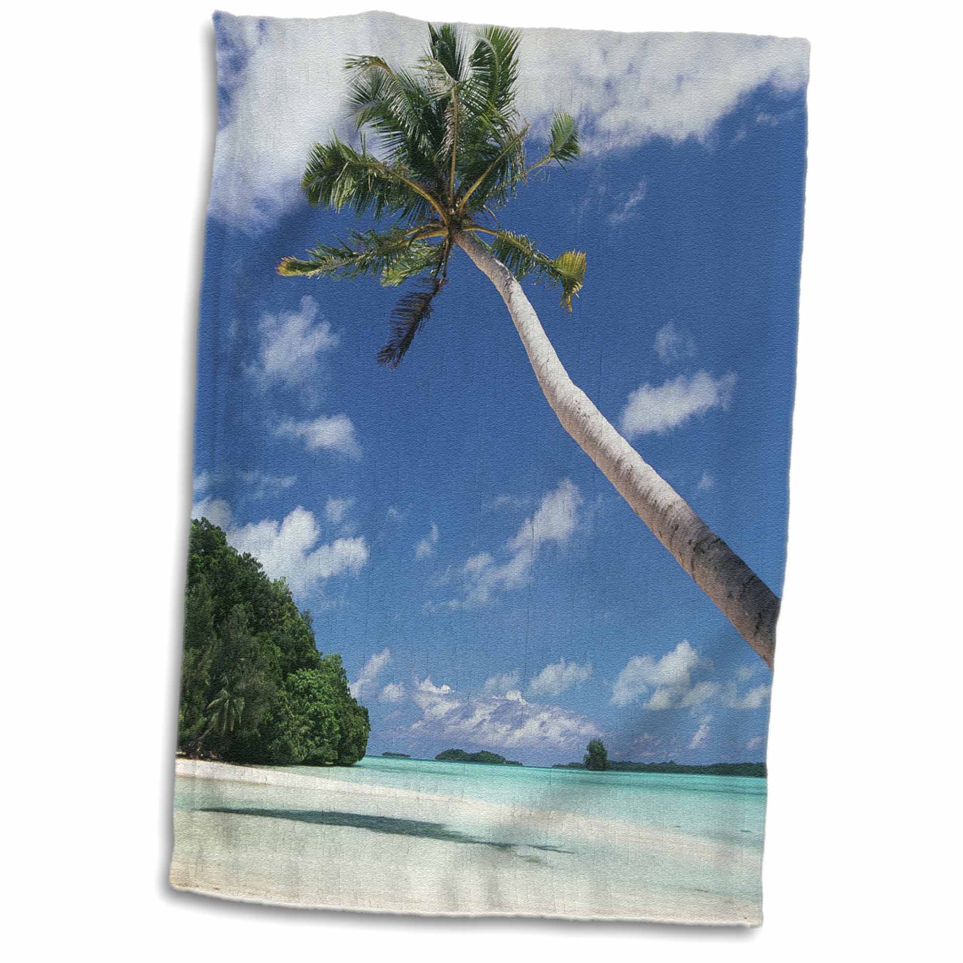 3dRose Danita Delimont - Beaches - Palau, Palm trees along tropical beach - Towels (twl-228587)