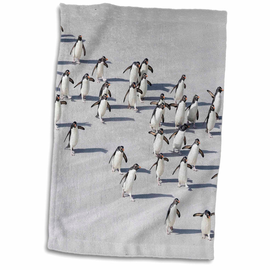 3dRose Aerial of Rockhopper Penguins Crossing The Wet Beach, Antarctica - Towels (twl-229109)