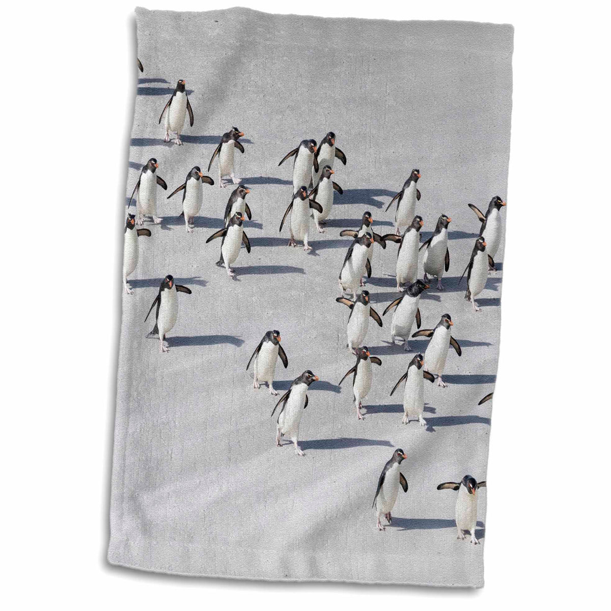 3dRose Aerial of Rockhopper Penguins Crossing The Wet Beach, Antarctica - Towels (twl-229109)