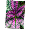 3dRose Image of a Persian Shield Plant, Strobilanthes dyerianus, Costa Rica - Towels (twl-229307)