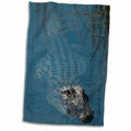 3dRose American alligator, Barrier Islands, Georgia, USA - Towels (twl-230583)