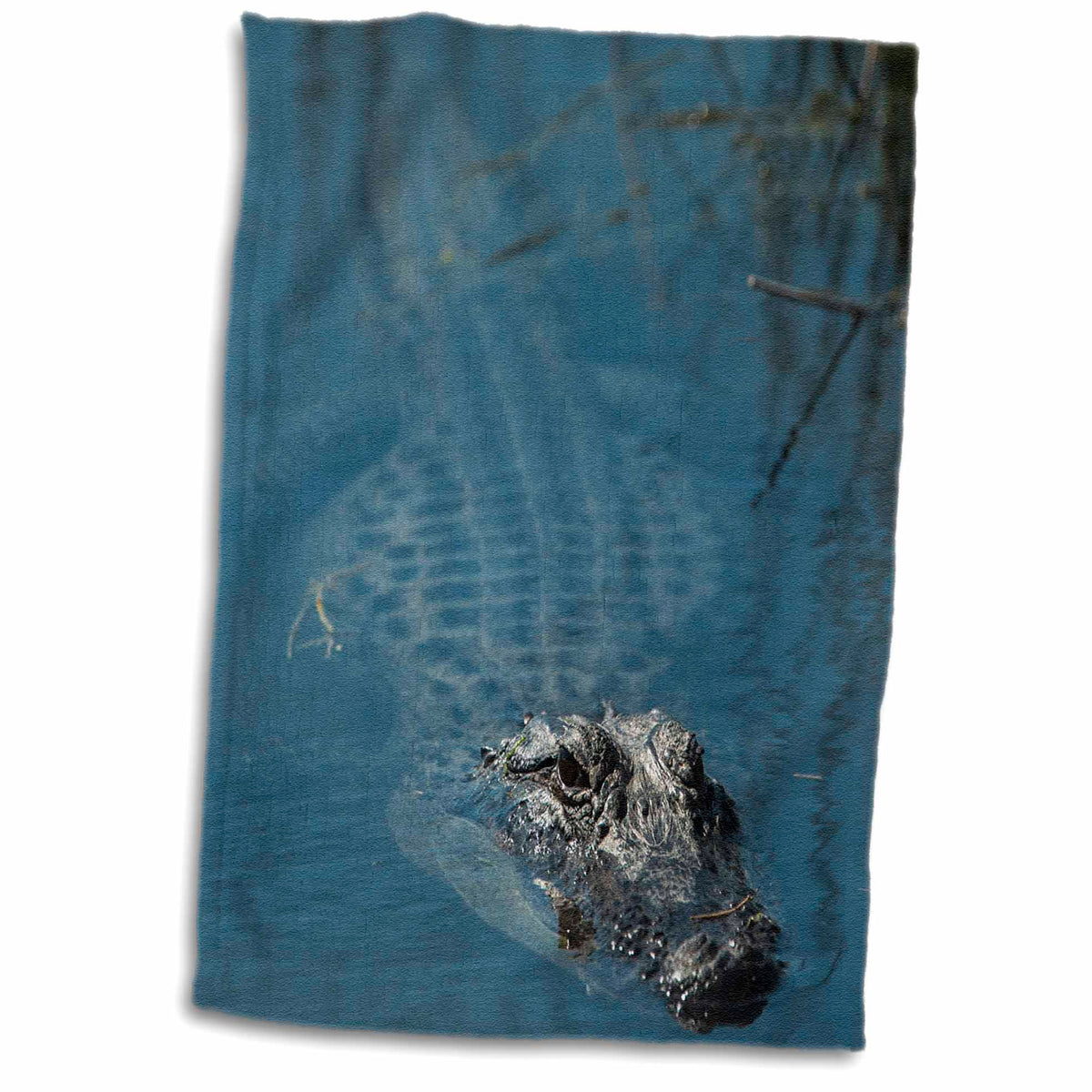 3dRose American alligator, Barrier Islands, Georgia, USA - Towels (twl-230583)