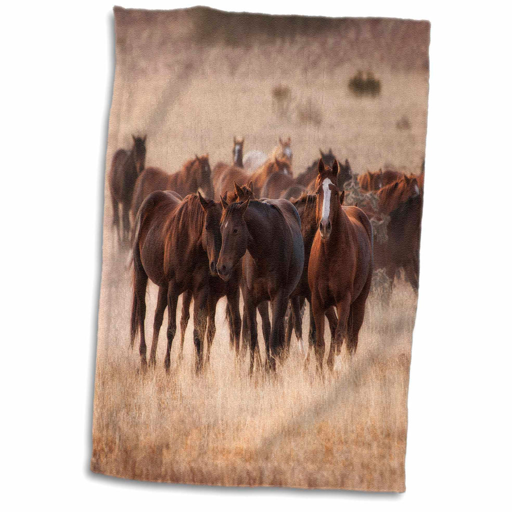 3dRose Danita Delimont - Animal - Herd of Horses in Dry Grasses of New Mexico - Towels (twl-231297)