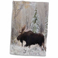 3dRose Danita Delimont - Animals - Shiras Bull Moose, Autumn Snow - Towels (twl-231958)