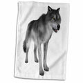 3dRose Boehm Graphics Animal - Grey Wolf - Towels (twl-234154)