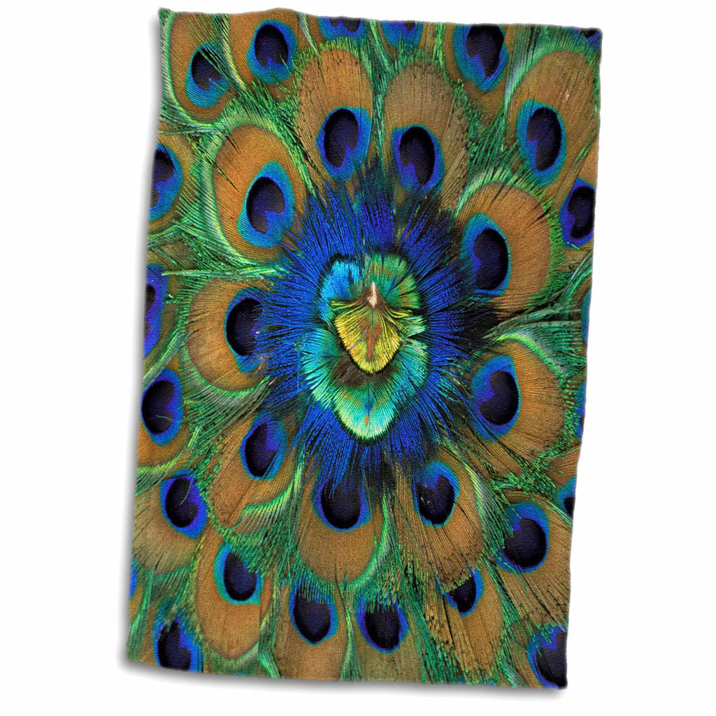 3dRose Natural Peacock Feather Patterns, AS10 DFR0096 - David R. Frazier - Towels (twl-73909)