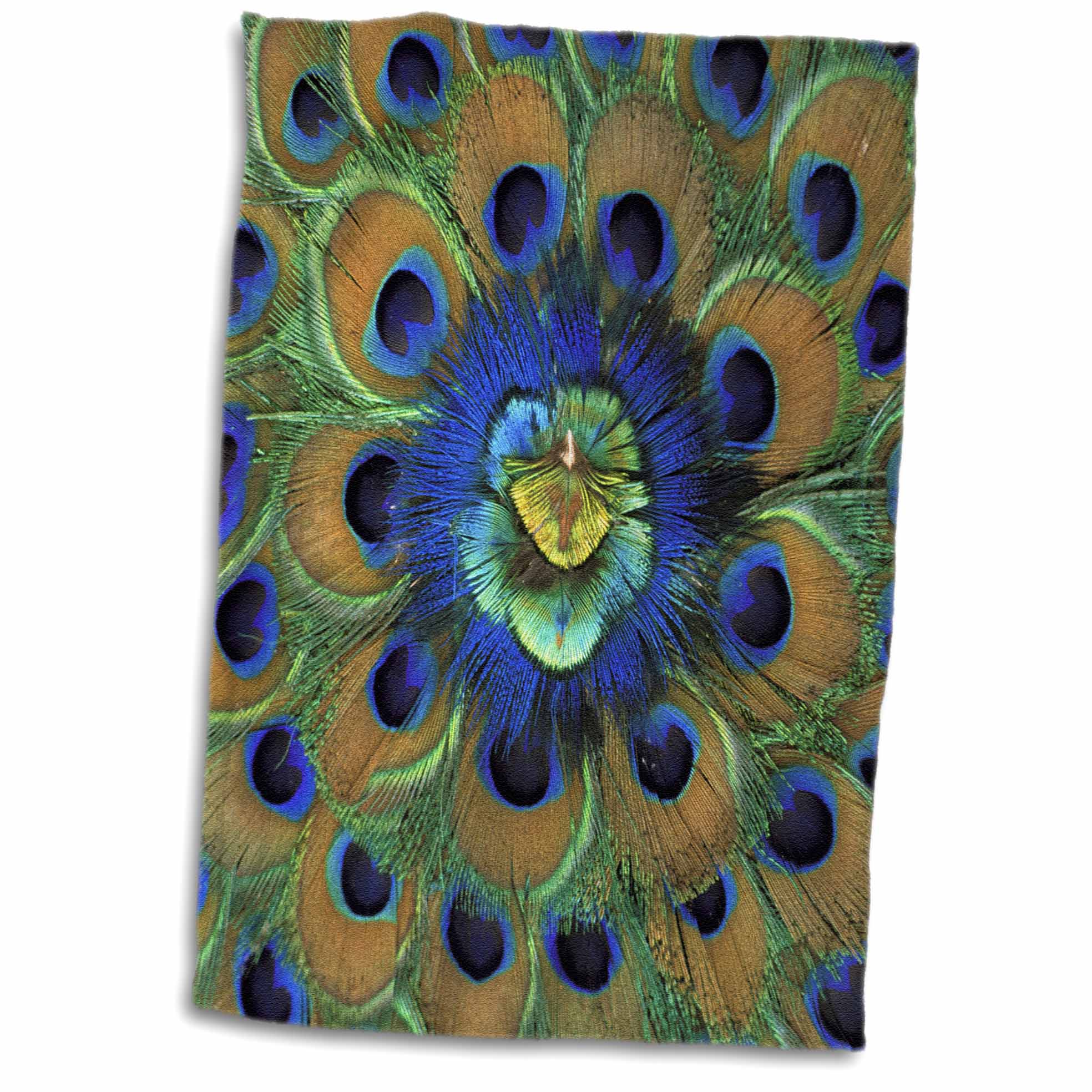 3dRose Natural Peacock Feather Patterns, AS10 DFR0096 - David R. Frazier - Towels (twl-73909)