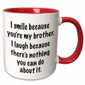 3dRose EvaDane - Funny Quotes - Because you’re my brother - Mugs (mug_112164)