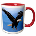 3dRose Birds - Bald Eagle - Mugs (mug_585)