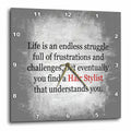 3dRose Xander Funny Quotes - Life is an Endless Struggle Until You find a Hair Stylist - Wall Clocks (DPP_201918)