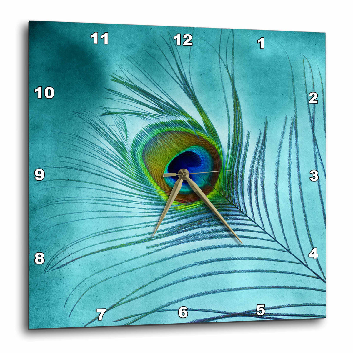 3dRose Doreen Erhardt Birds - Peacock Feather on Turquoise Background - Wall Clocks (DPP_211236)
