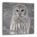 3dRose Jackie Popp Nature N Wildlife Birds - Barred Owl - Wall Clocks (DPP_21195)