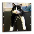 3dRose TNMGraphics Animals - Black and White Cat with Nothing to Do - Wall Clocks (DPP_23450)
