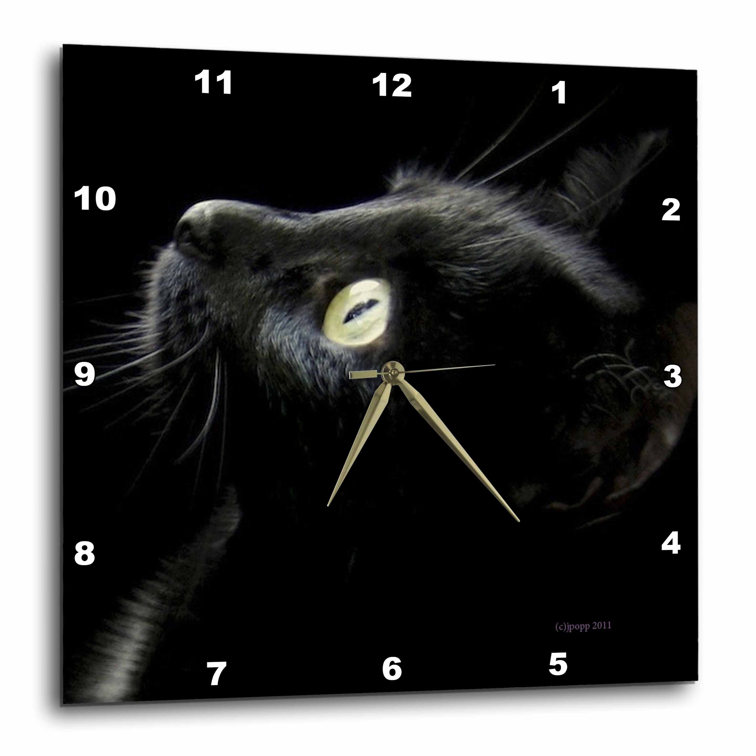 3dRose Jackie Popp Wildlife N Nature Cats - Black cat face - Wall Clocks (DPP_23822)