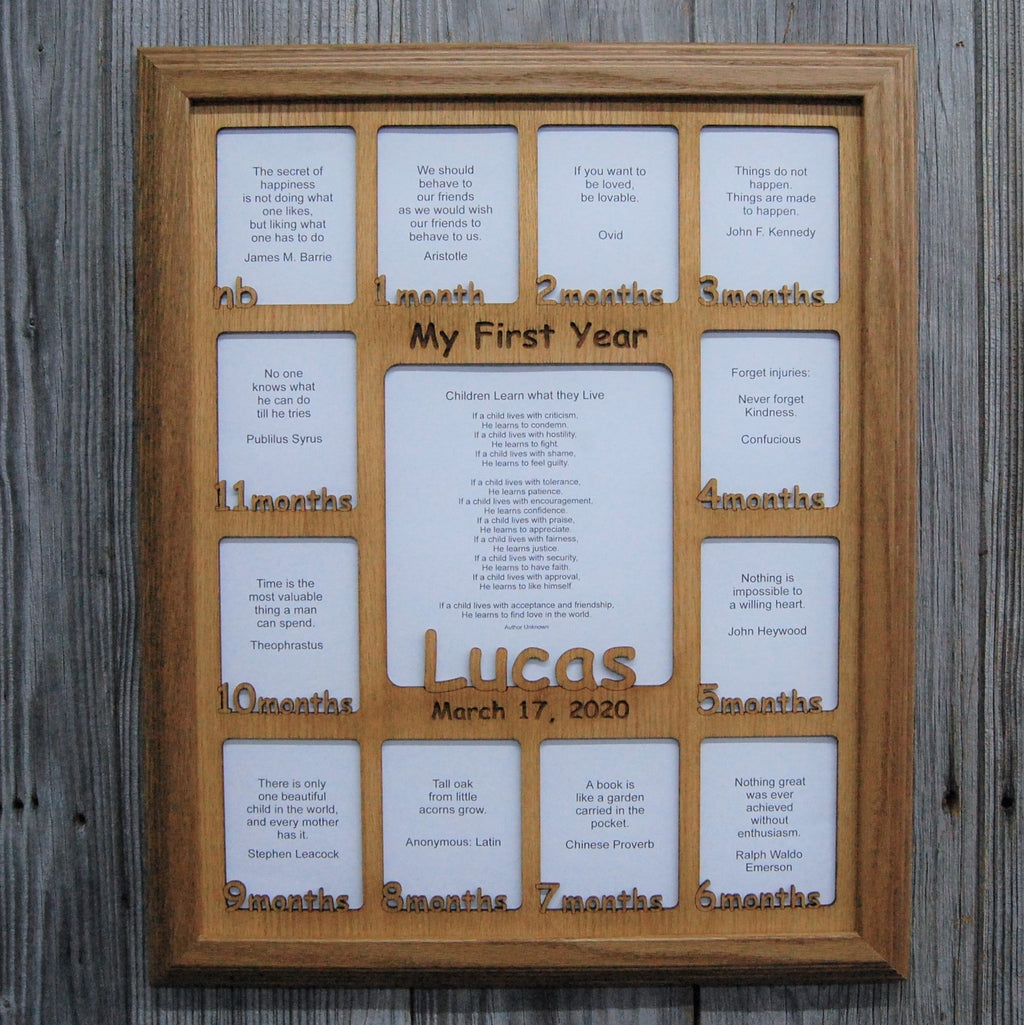 Baby First Year Picture Frame