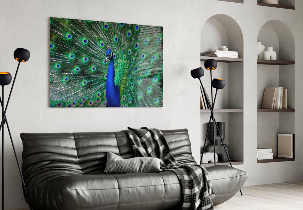 Peacock Fanned Tail Display Glass Wall Art
