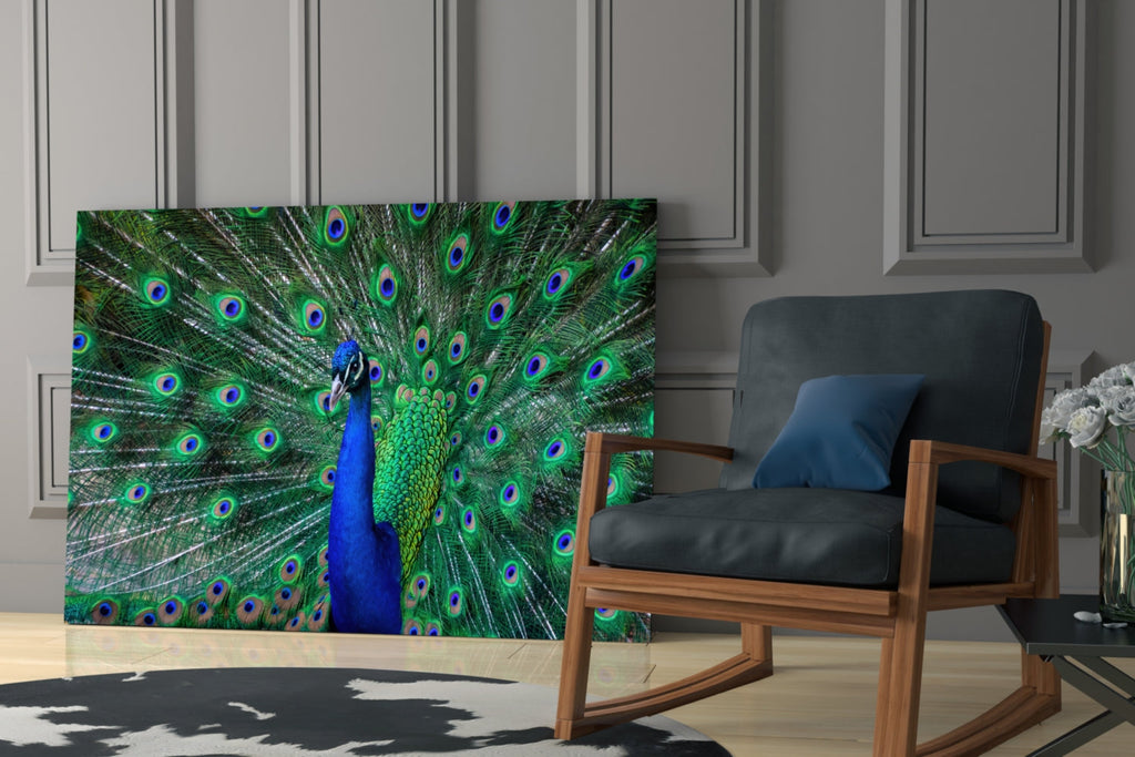 Peacock Fanned Tail Display Glass Wall Art