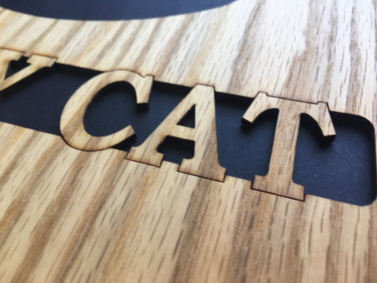 Cat Paw Print Picture Frame 11x14