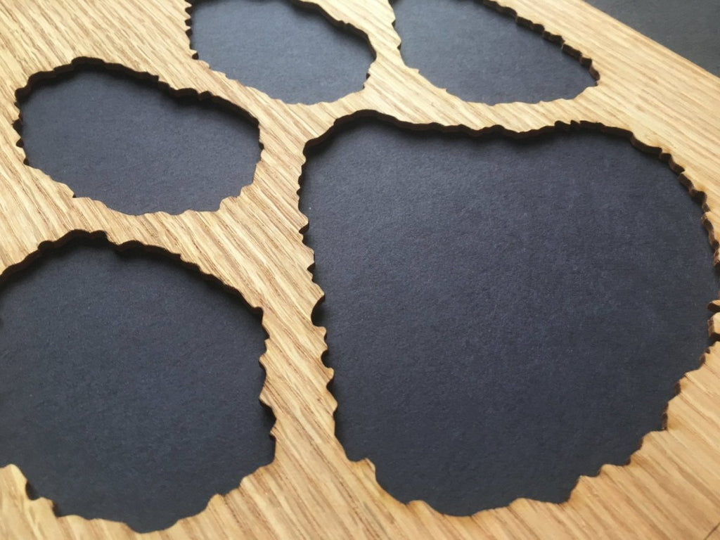 Dog Paw Print Picture Frame