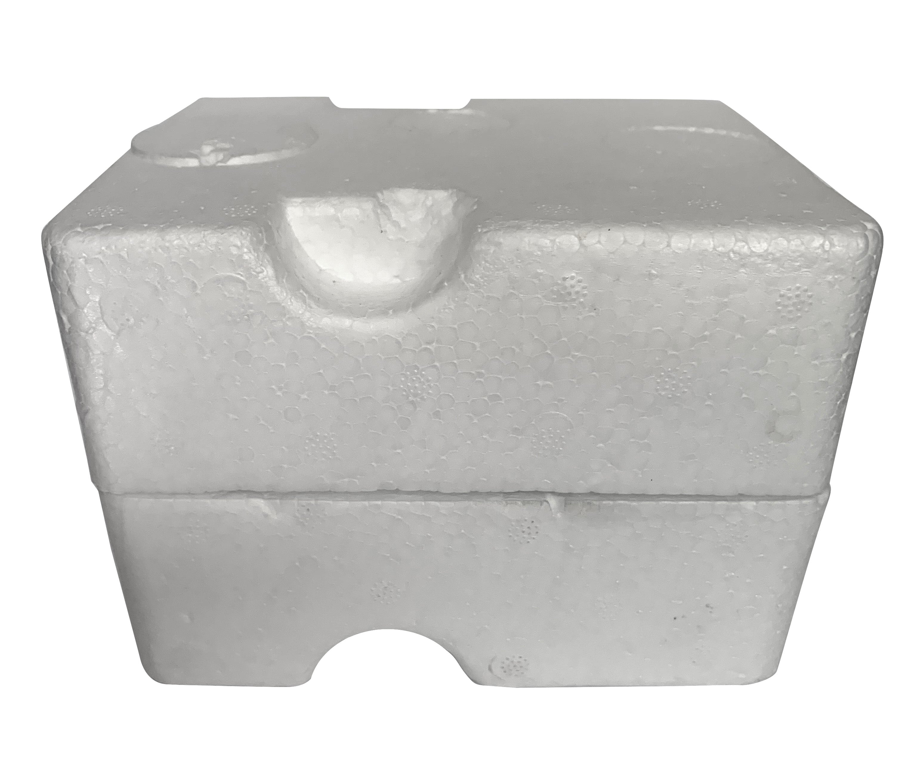 3dRose Florene Dog - Beautiful Chihuahua Portrait - Mugs (mug_49302)