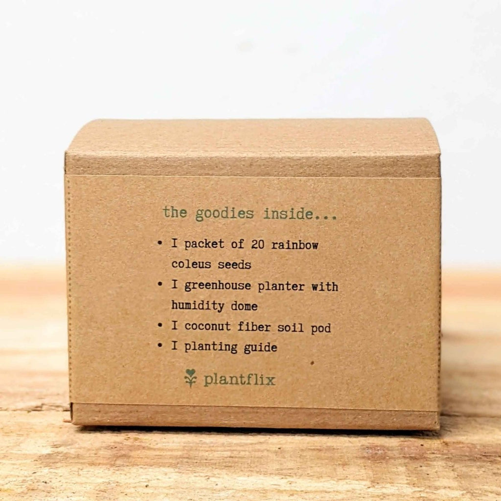 Grow a Coleus Seed Kit