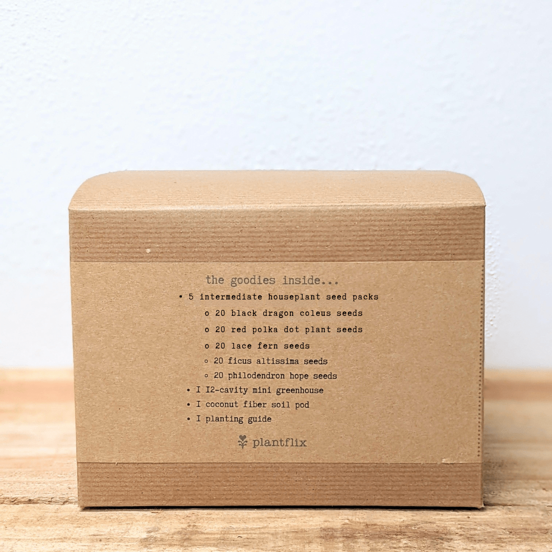 "Grow an Indoor Jungle" Houseplant Seed Kit
