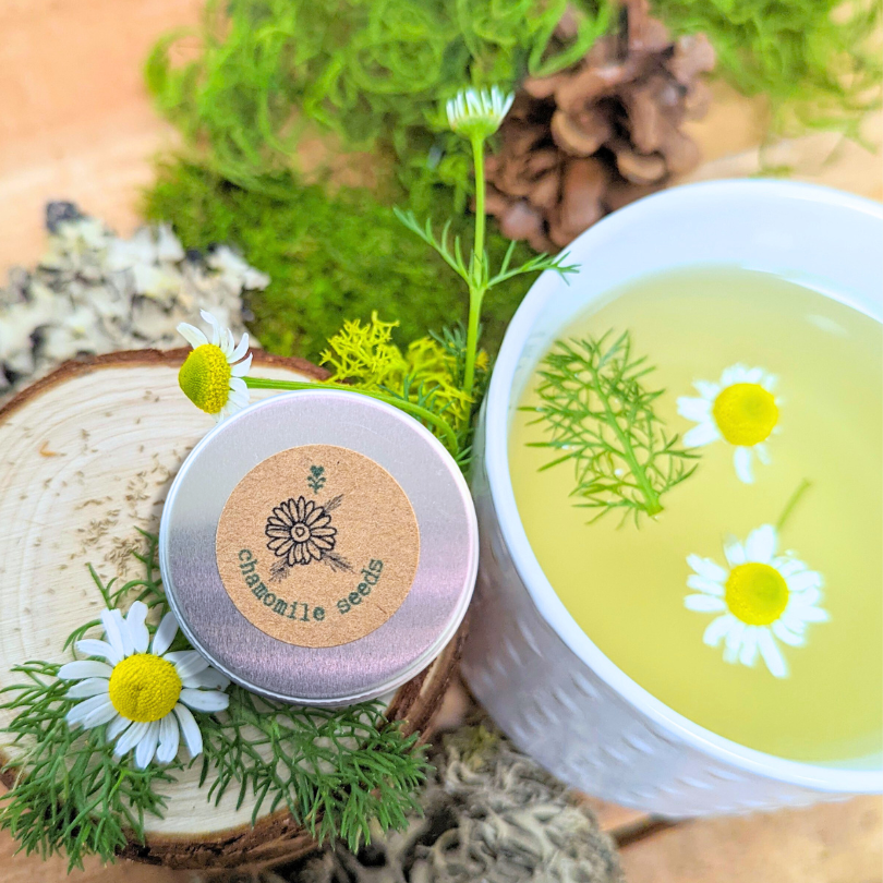 Herbal Tea Seeds Collection