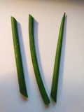 Fernwood Snake Plant Cuttings - 3 Unrooted Clippings - Sansevieria Succulent - Easy Care Houseplant