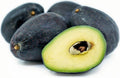 Grafted Sir Prize Avocado Tree - 1 Foot Tall - Ship in Plastic Bag - Avocado Tree for Home Garden (Persea americana)