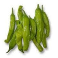 Shishito Pepper Plant - 1 Live Plant in 3" Pot - Capsicum annuum