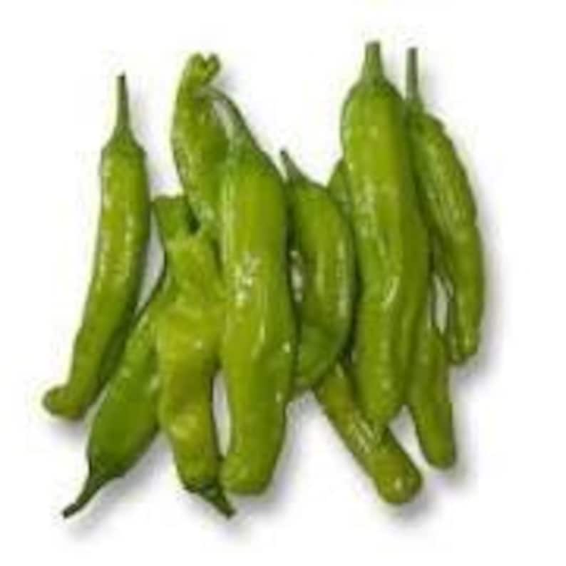 Sweet Shishito Pepper Plant - 3” Pot - Capsicum annuum - Live Plant for Home Garden or Container Gardening
