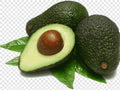 Grafted Avocado Tree - 1 Feet Tall - Leavens Hass Variety - Ships in 6" Pot - Healthy Plant for Home Garden