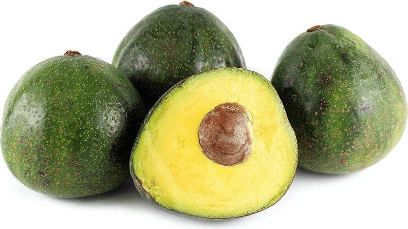 Nabal Avocado Tree - 1ft Grafted Plant - Live Avocado Tree - Persea americana